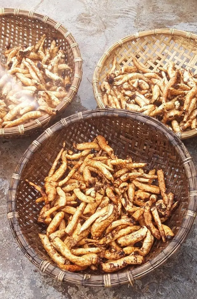 Làm sạch đất ở củ gai trước khi cắt nhỏ